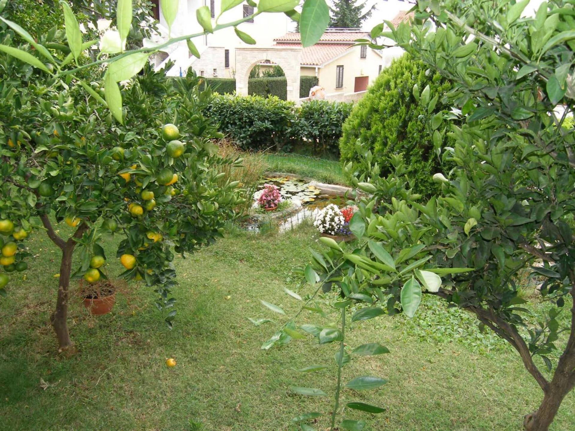 Family House With 2 Apartments - Irma ميدولين المظهر الخارجي الصورة